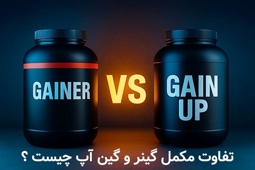 تفاوت گینر و گین آپ چیه و کدام برای حجم گیری بهتره؟