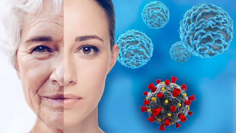سلول های بنیادی پیر چگونه التهاب را افزایش می دهند؟