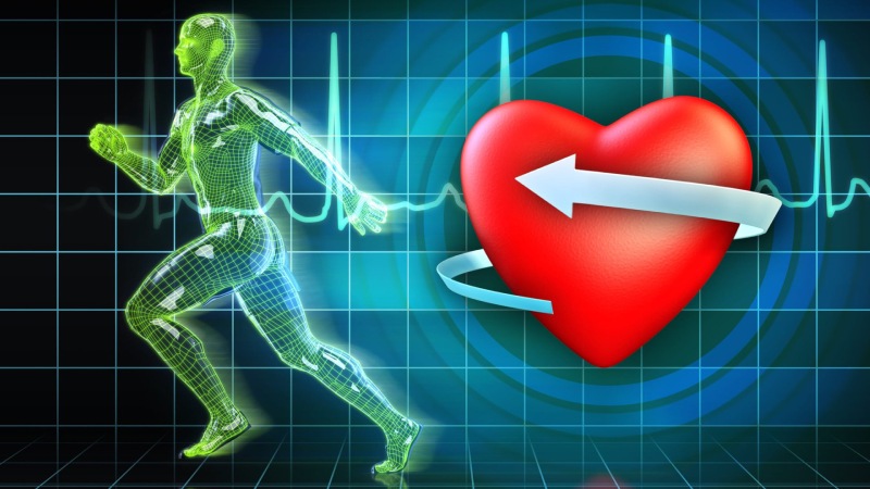 ورزش چگونه سلامت قلب و عروق را بهبود می دهد؟