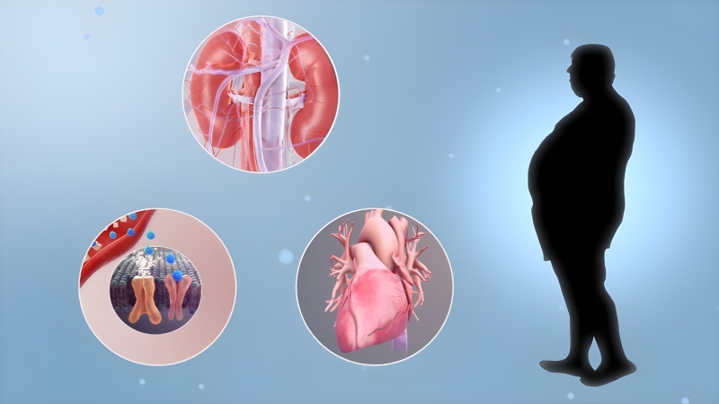 بیماری پنهان قرن بیست و یکم؛ سندرم قلب، کلیه و متابولیک