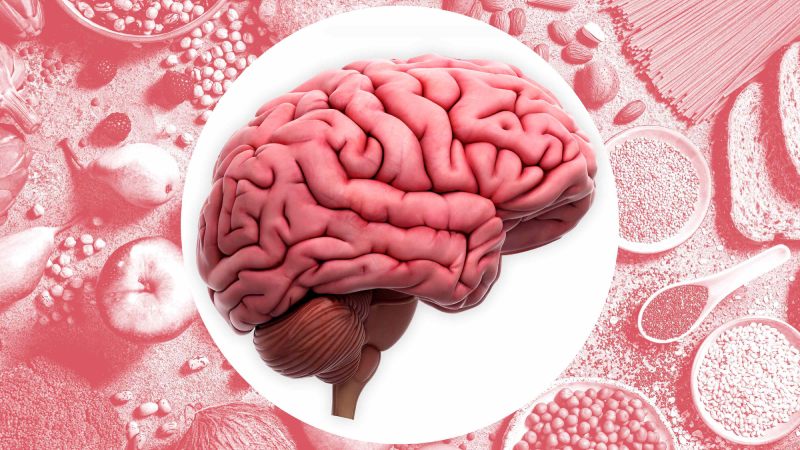 پرخوری از نگاه نوروساینس؛ مغز چگونه اشتها و هوس غذایی را کنترل می کند؟